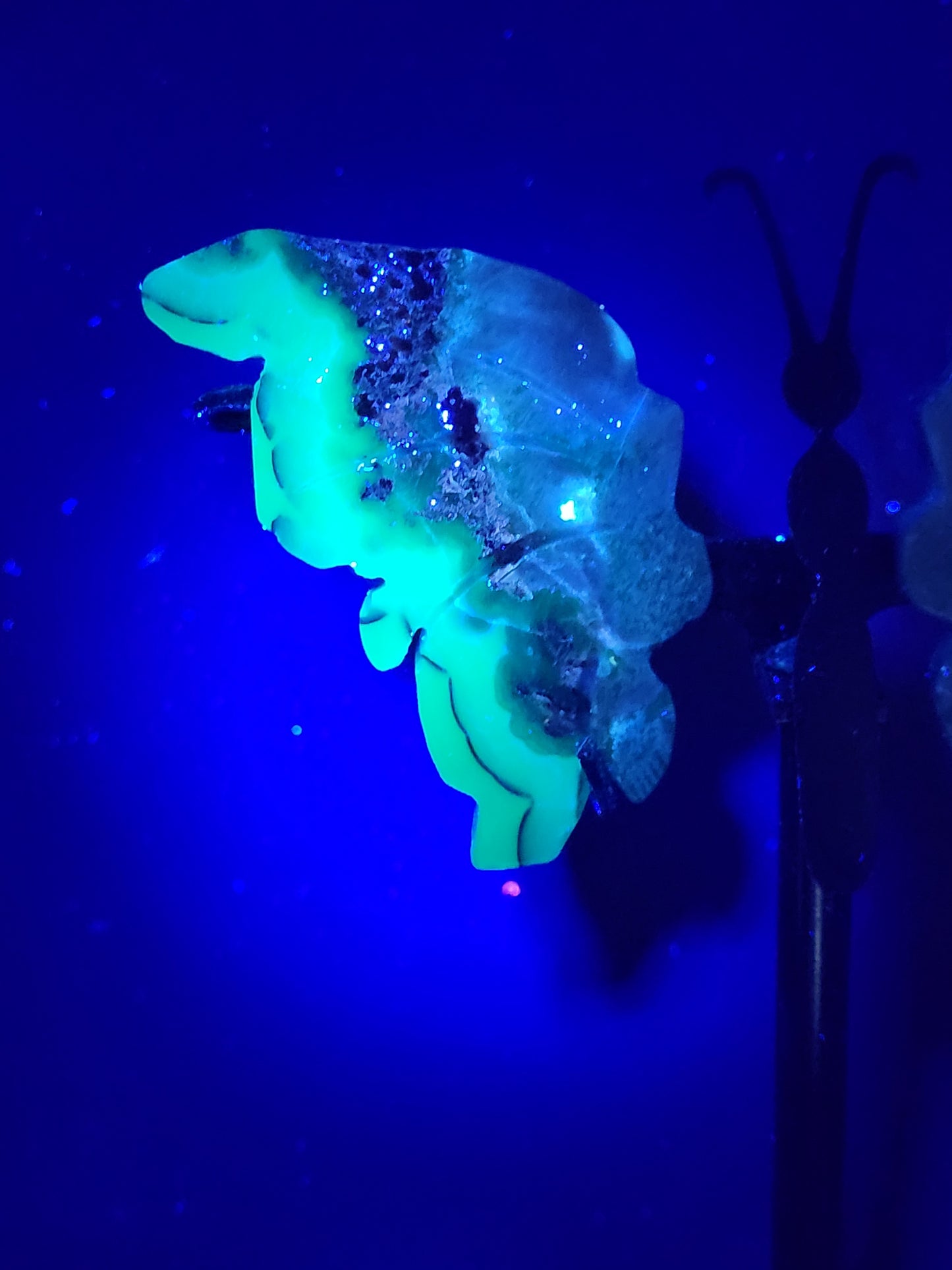 Wings - Volcano Agate butterfly