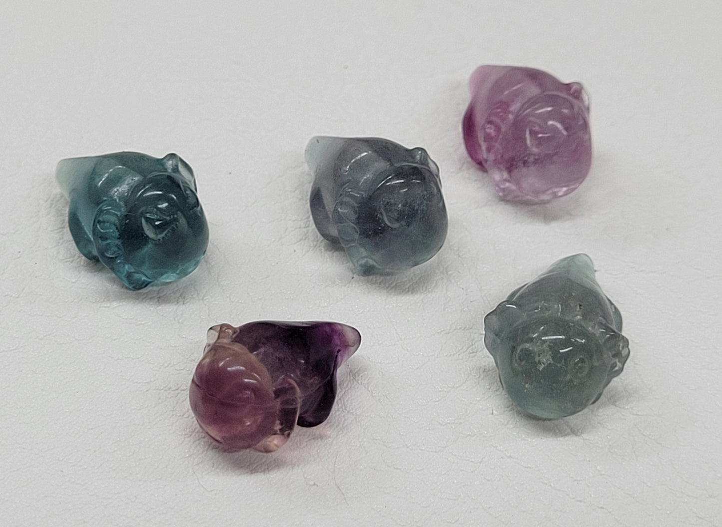 Fluorite mini - Axolotl