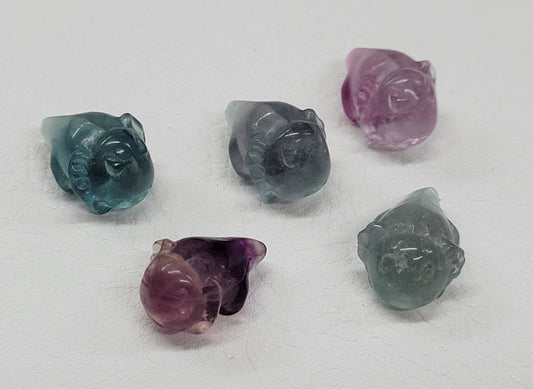 Fluorite mini - Axolotl