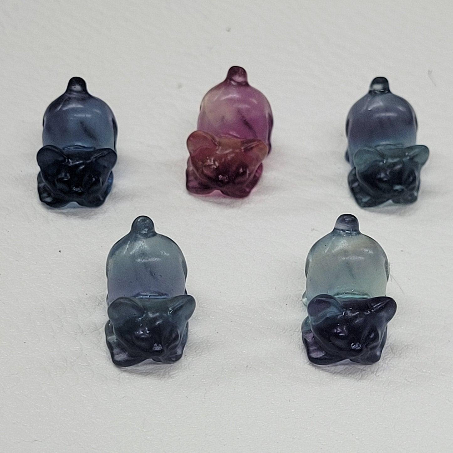 Fluorite mini - Playful cat/kitty