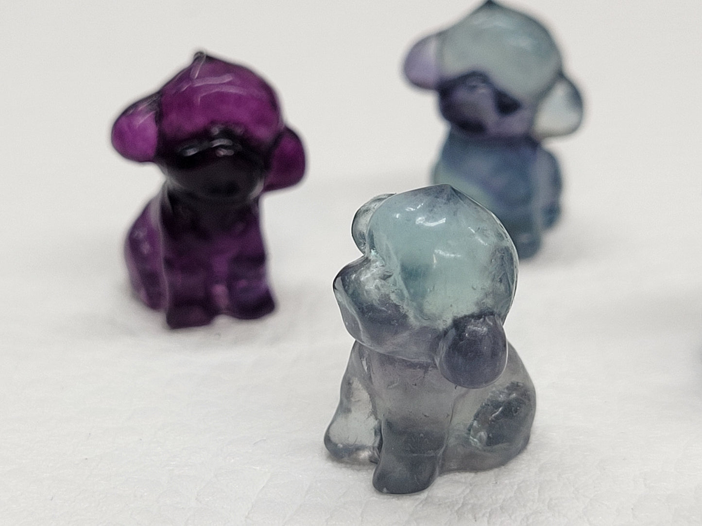 Fluorite mini - Poodle dog