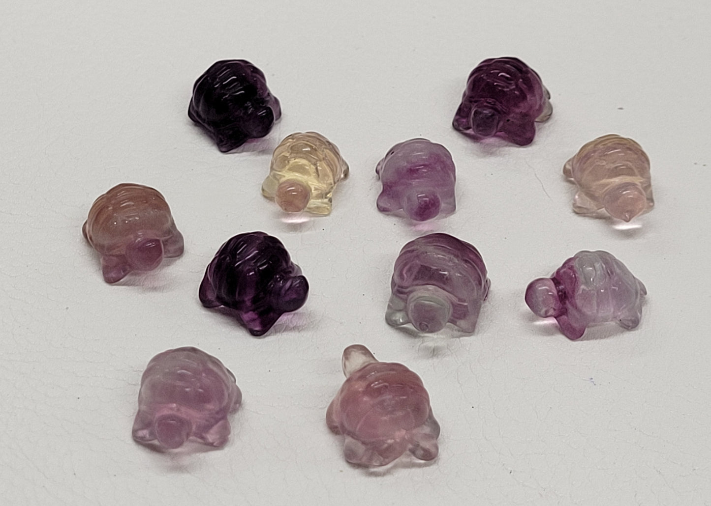 Fluorite mini - Turtle