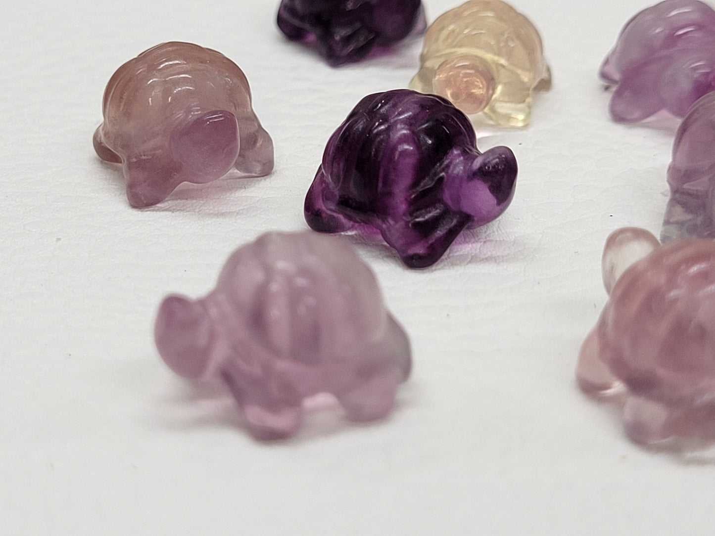 Fluorite mini - Turtle