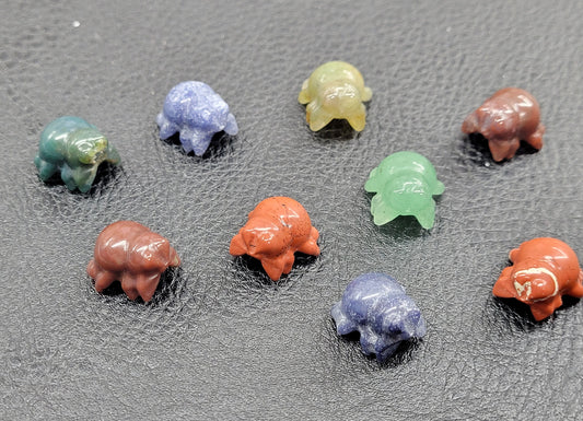 Mini Colorful - Spider