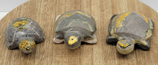 Turtle - Bumblebee Jasper (medium)