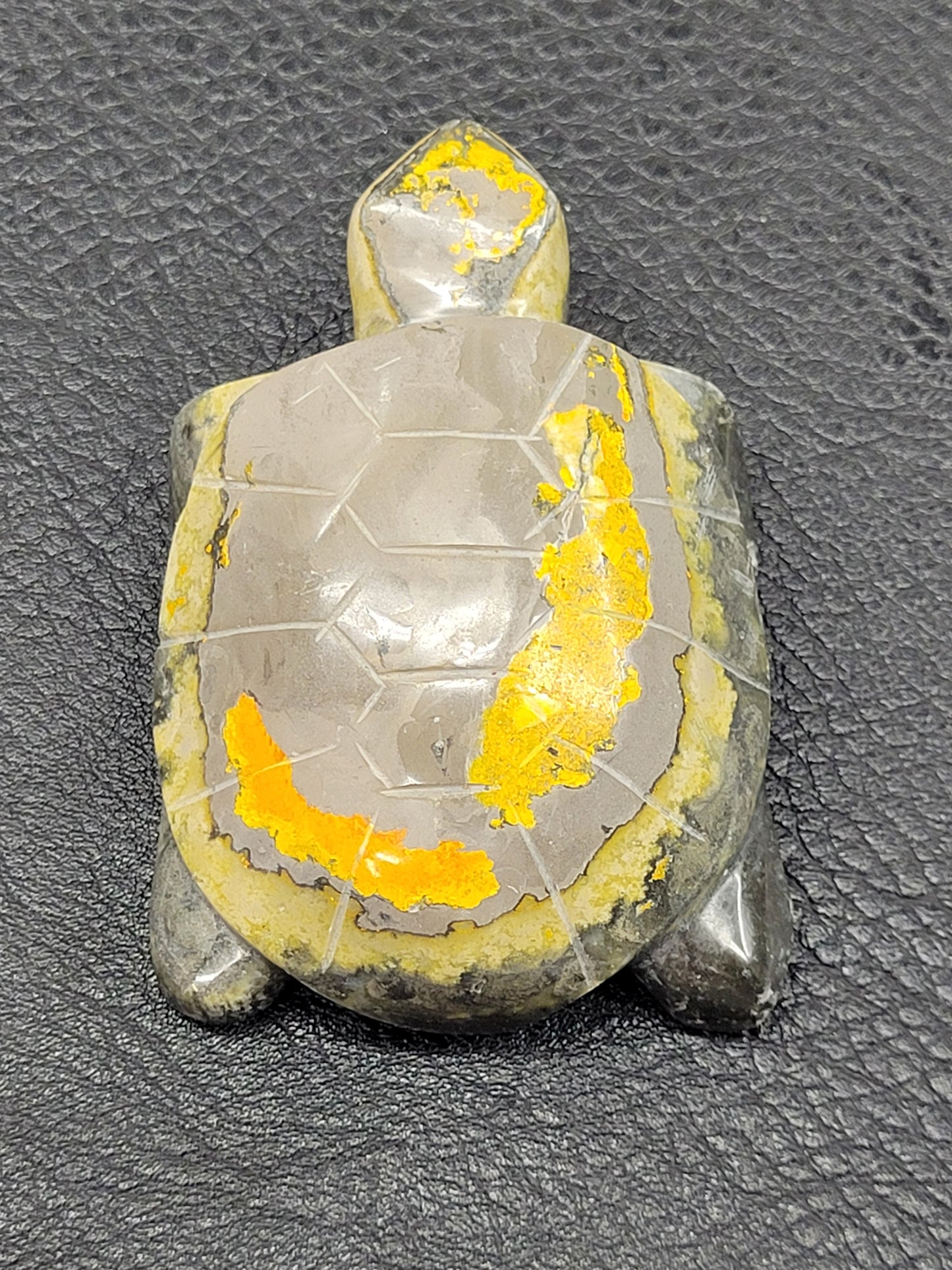 Turtle - Bumblebee Jasper (medium)