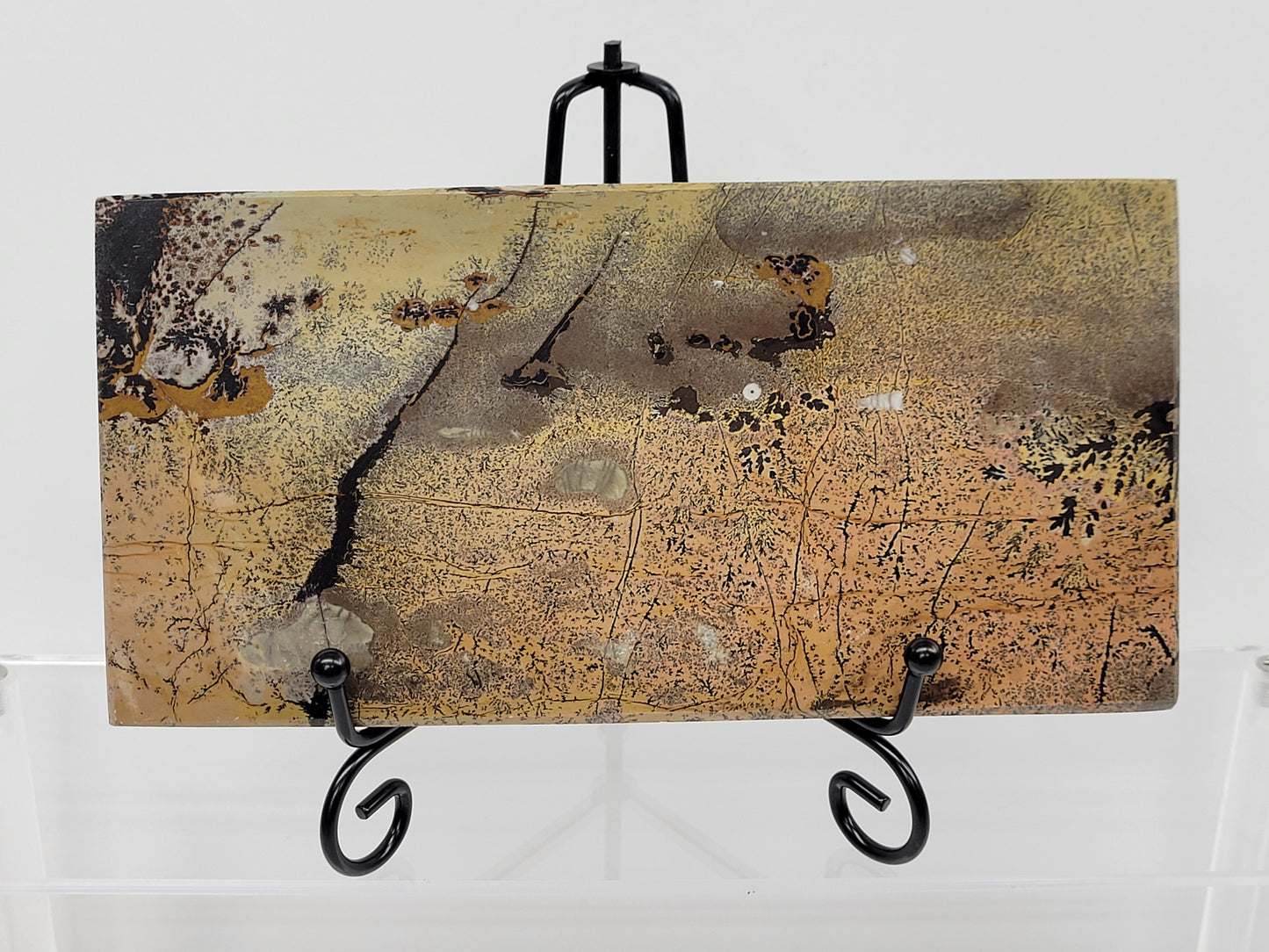 Slab - Picture Jasper