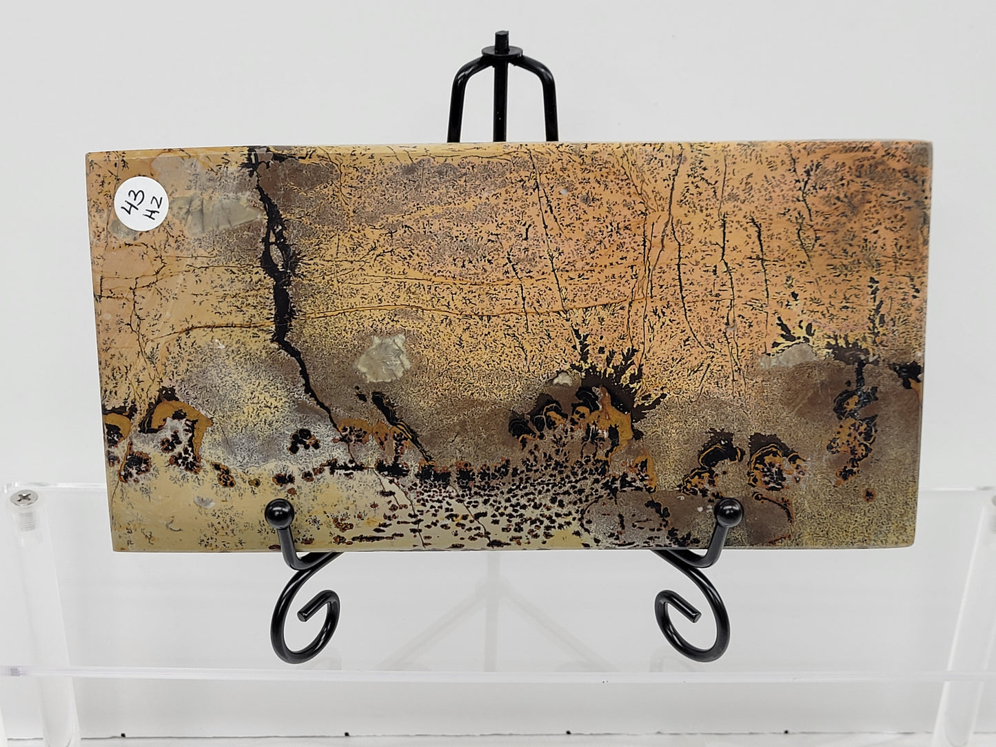 Slab - Picture Jasper