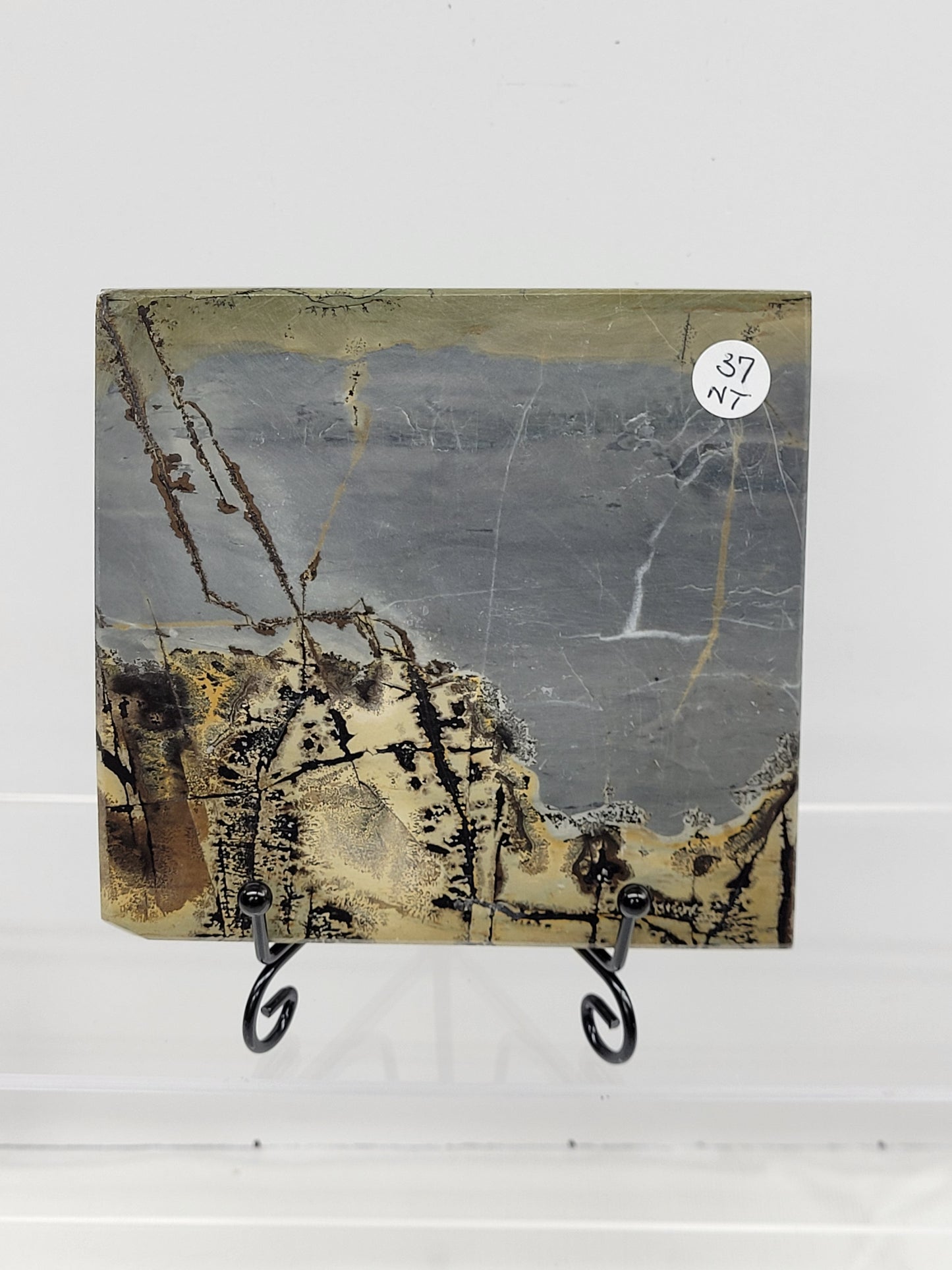 Slab - Picture Jasper