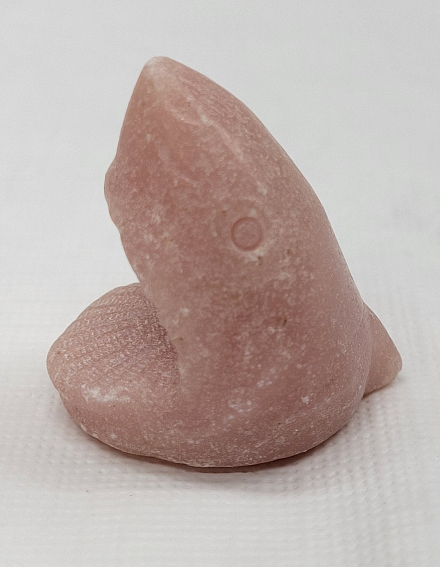 Shark head carvings