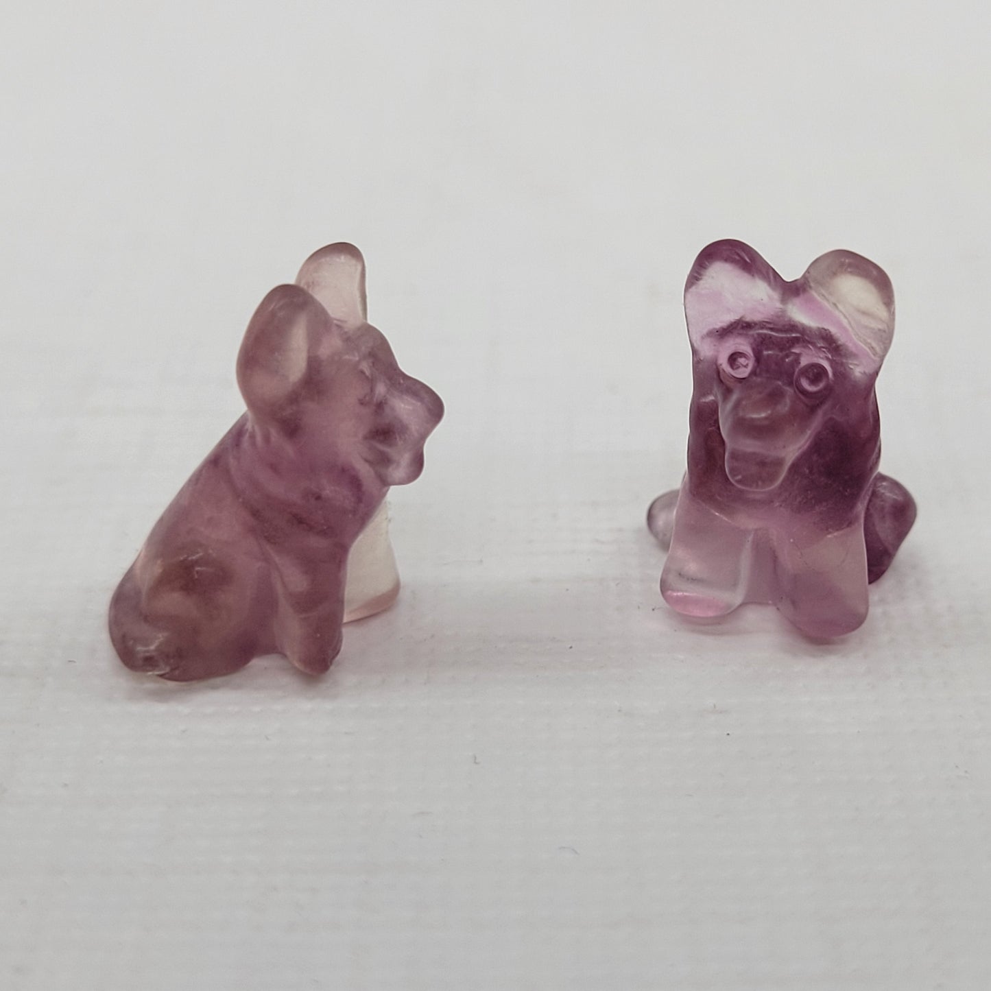 Fluorite mini - German Shepherd dog