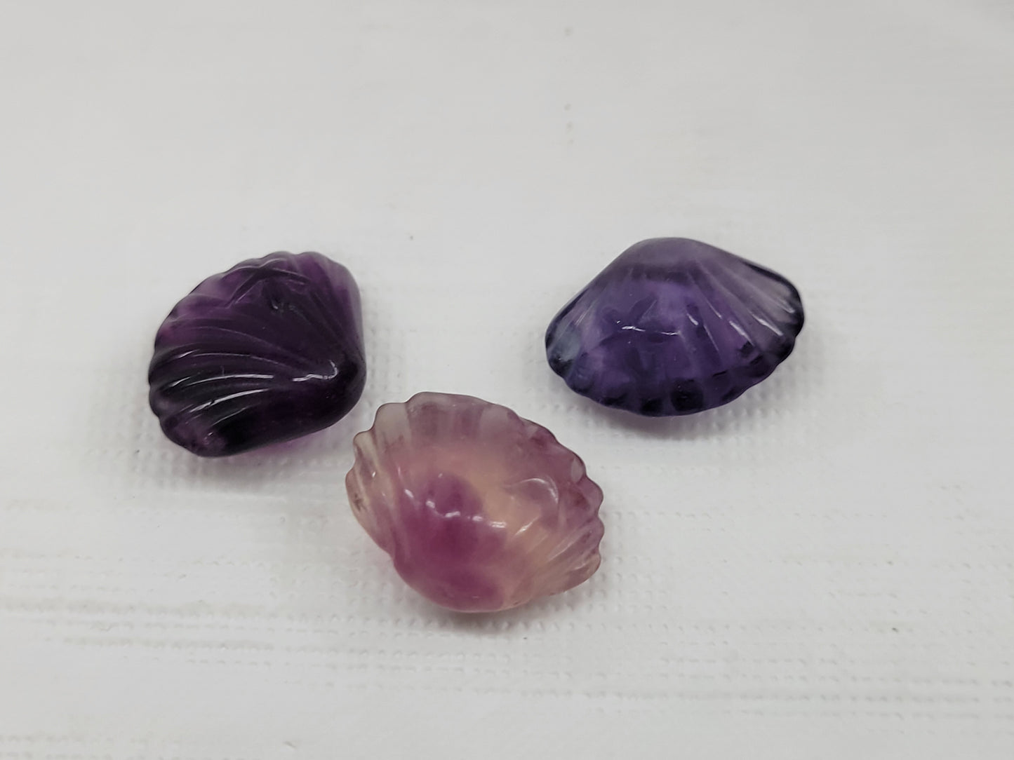 Fluorite mini - Shell