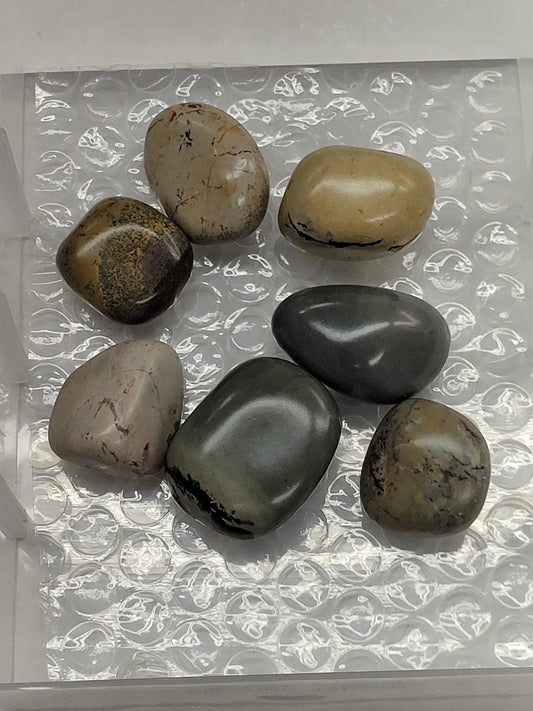 Picture Jasper tumbles