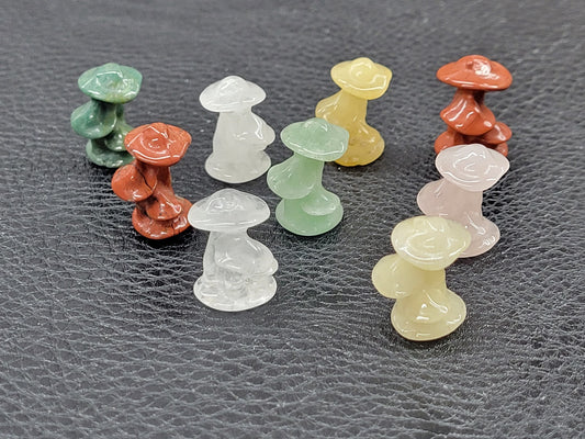 Mini Colorful - Mushroom clusters/family