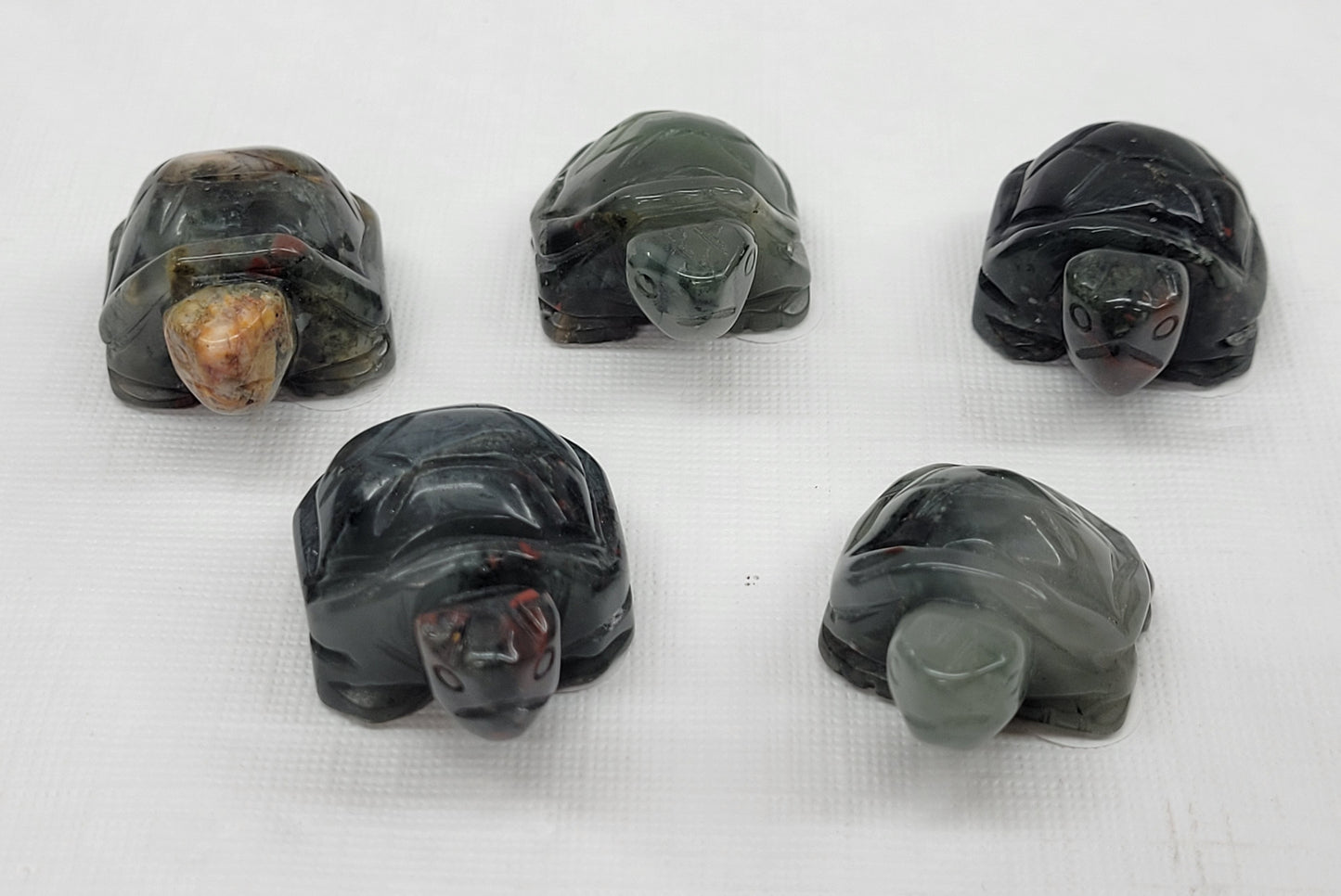Turtle - African Bloodstone (medium)