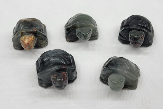 Turtle - African Bloodstone (medium)