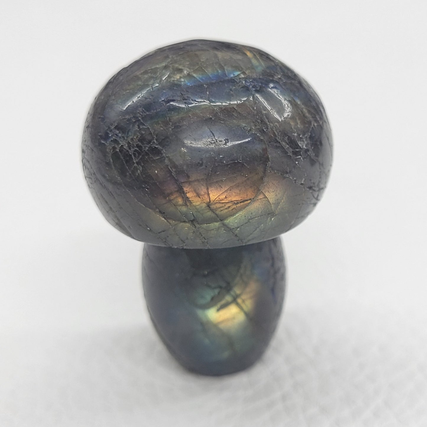 Mushroom (small/medium)