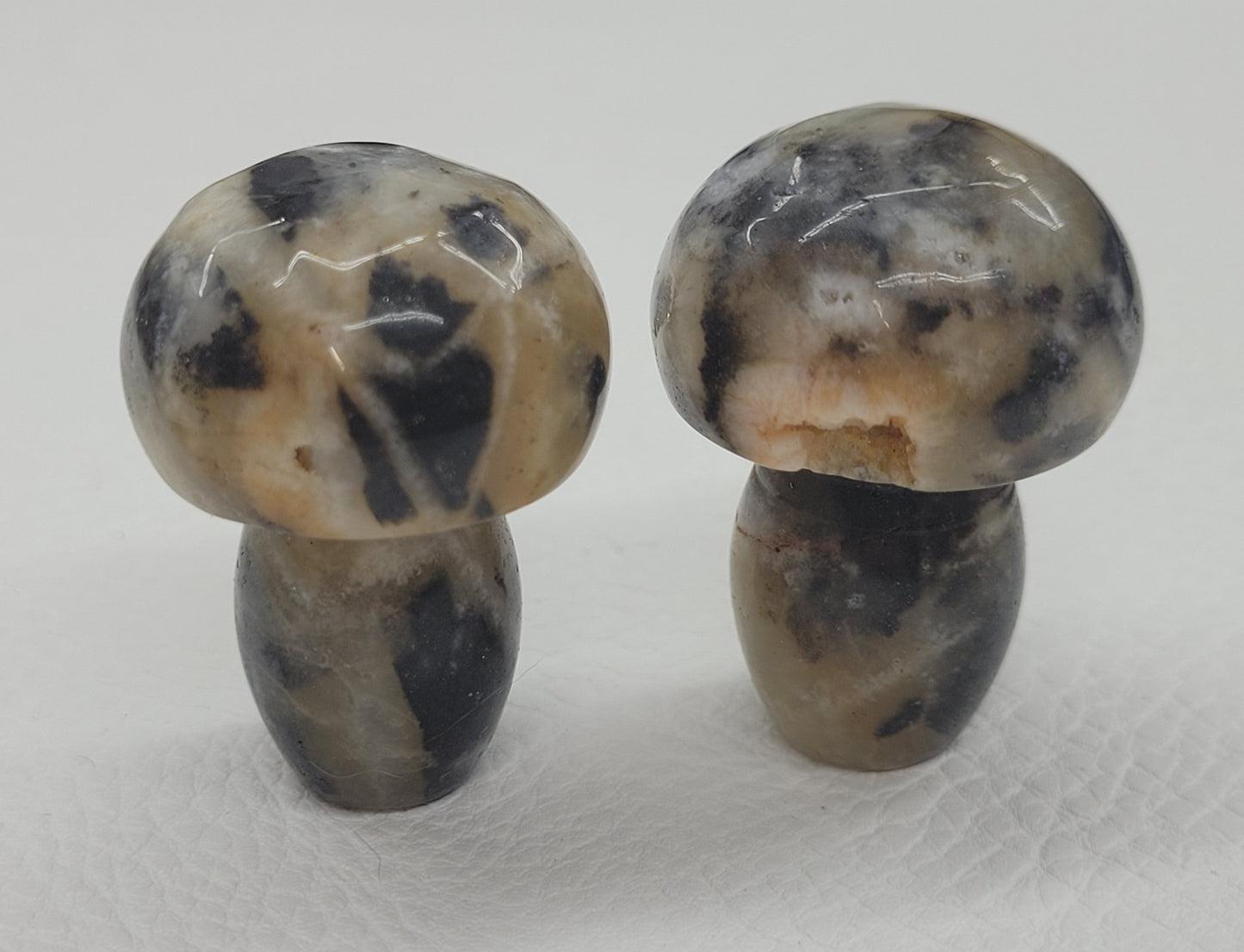 Mushroom (small/medium)