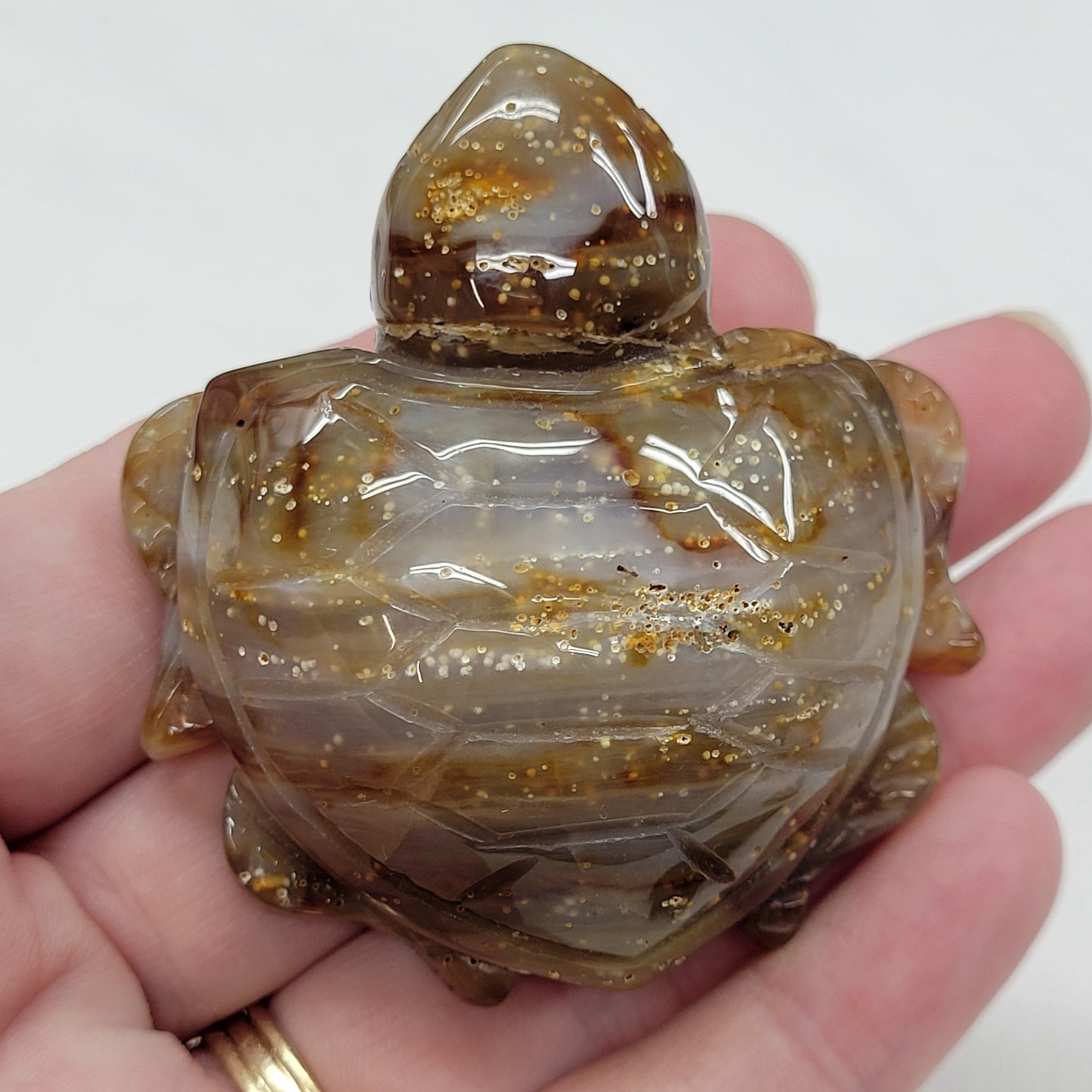 Sea turtle - Agate (medium)