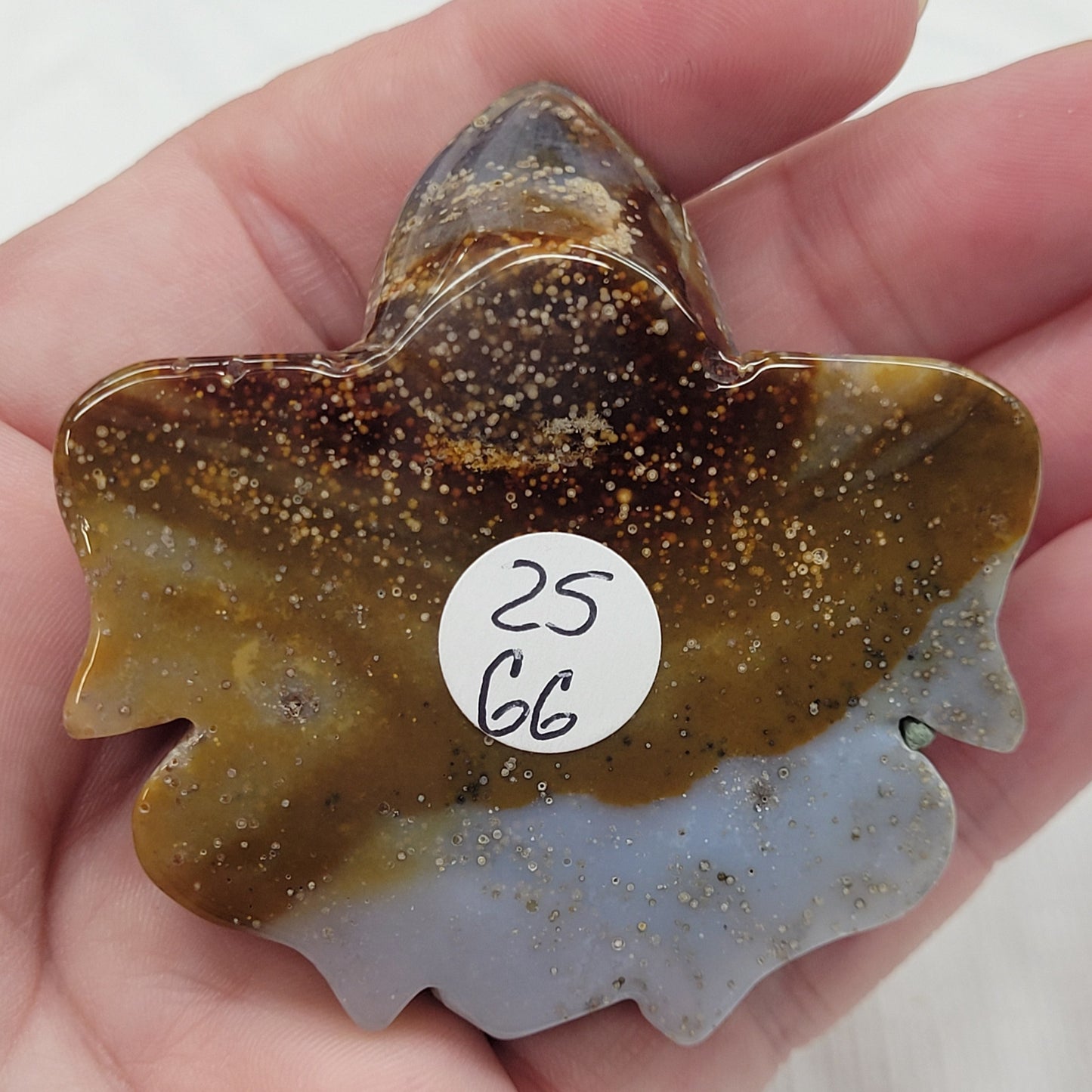 Sea turtle - Agate (medium)