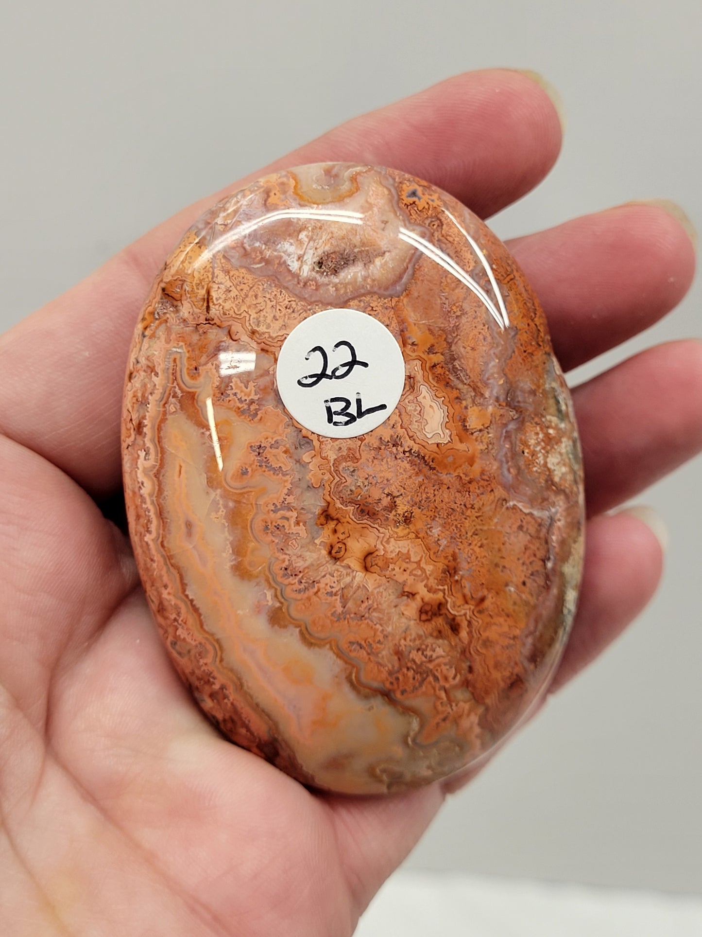 Palm - Pink Crazy Lace Agate