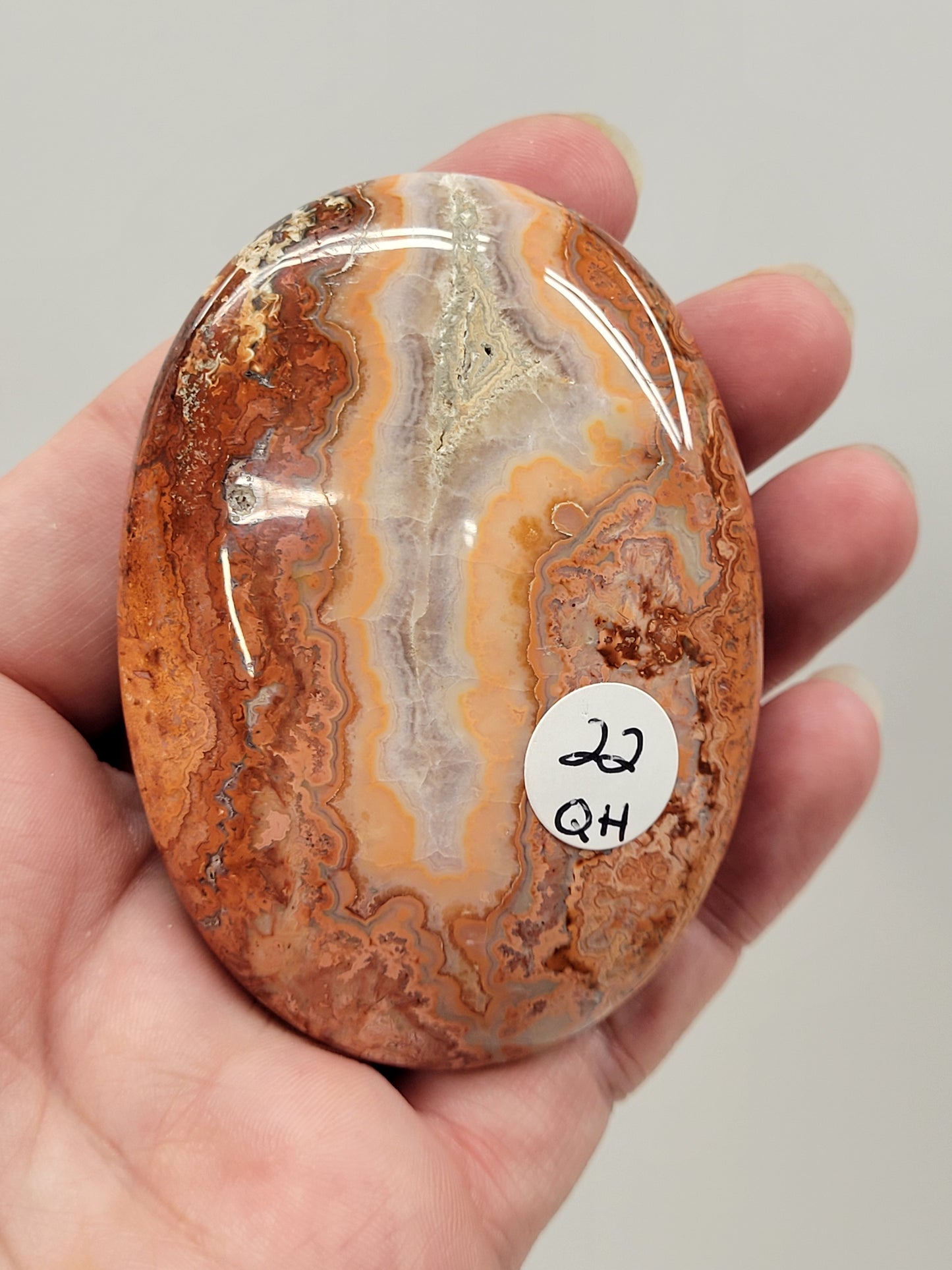 Palm - Pink Crazy Lace Agate
