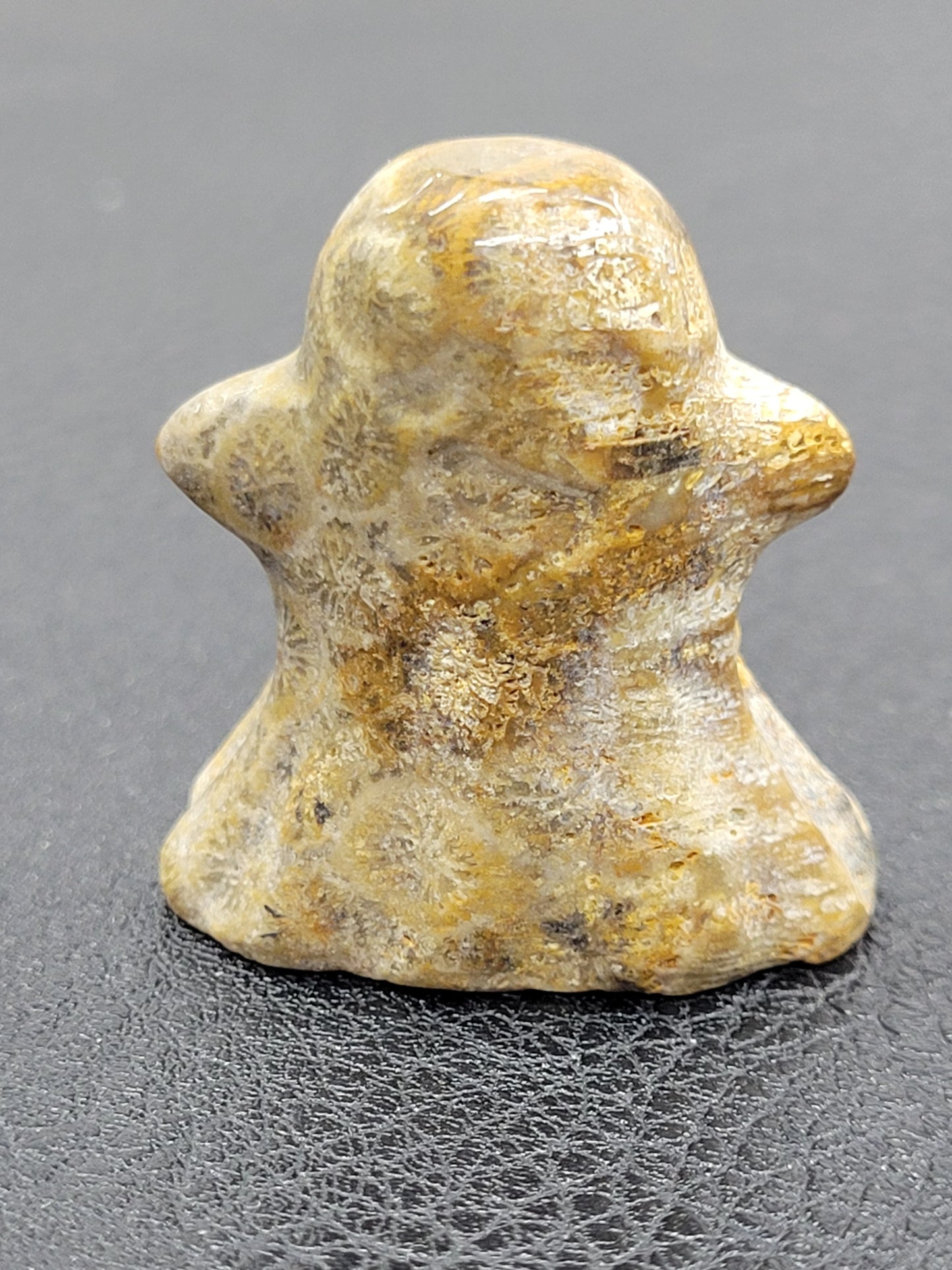 Fossil Coral ghost