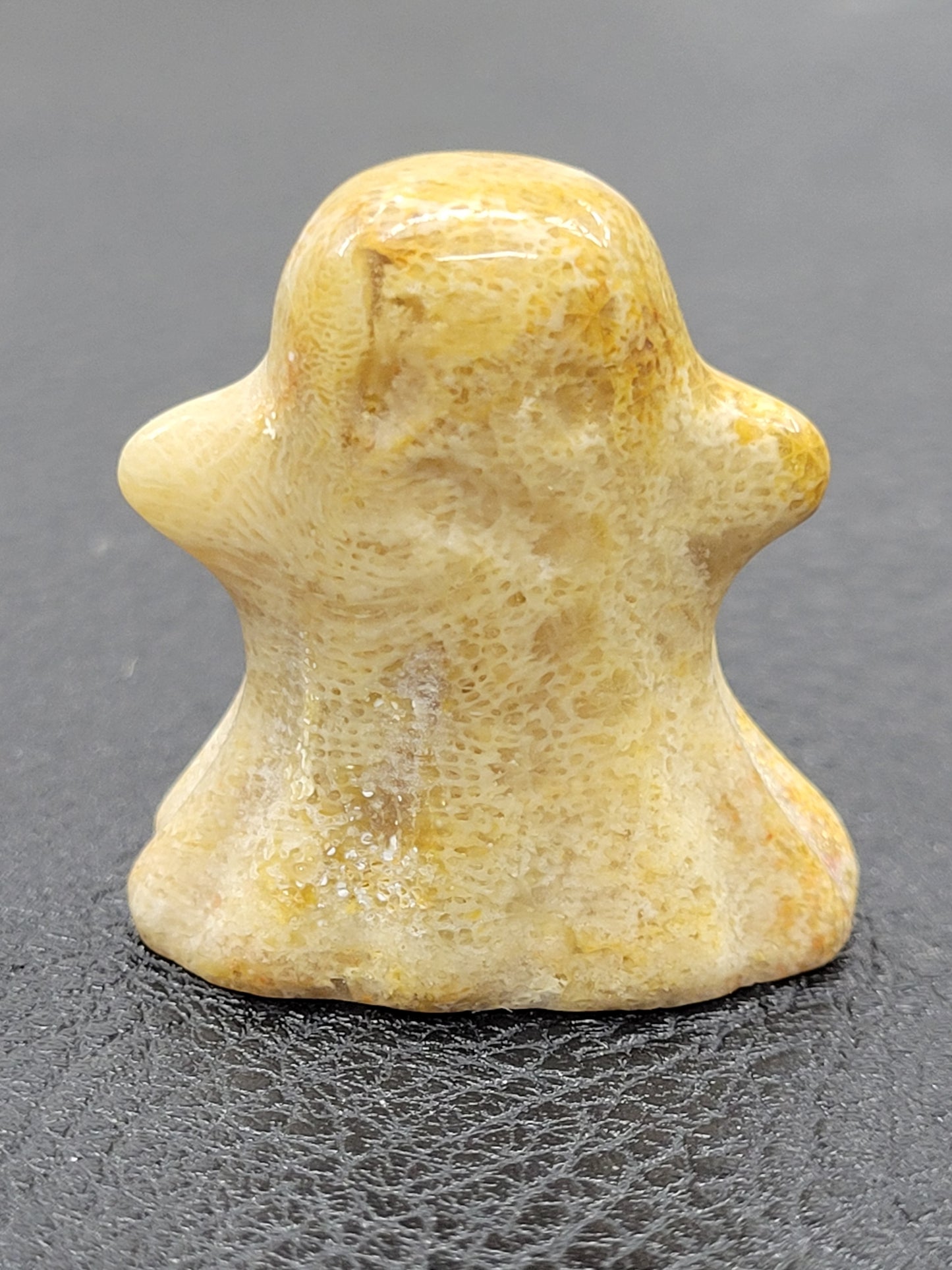 Fossil Coral ghost