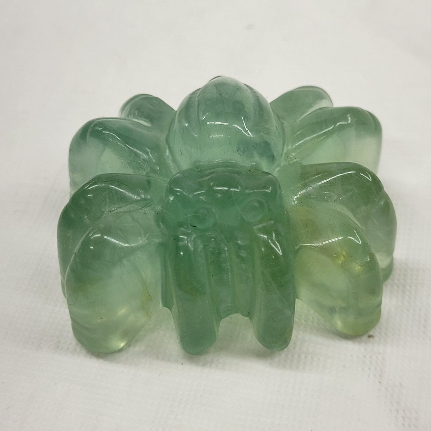 Fluorite spiders - Large