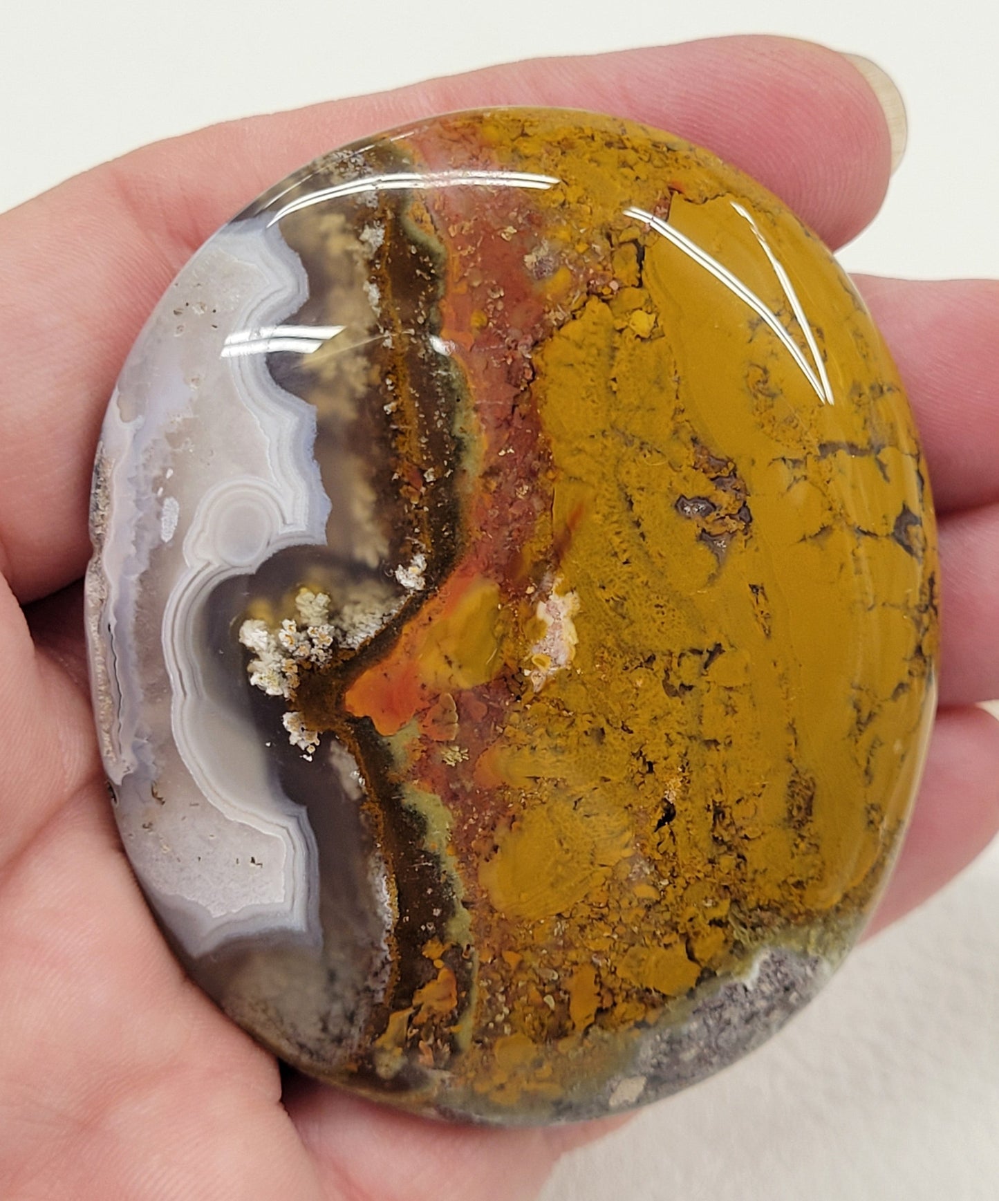 Palm - Scenic Moss Agate