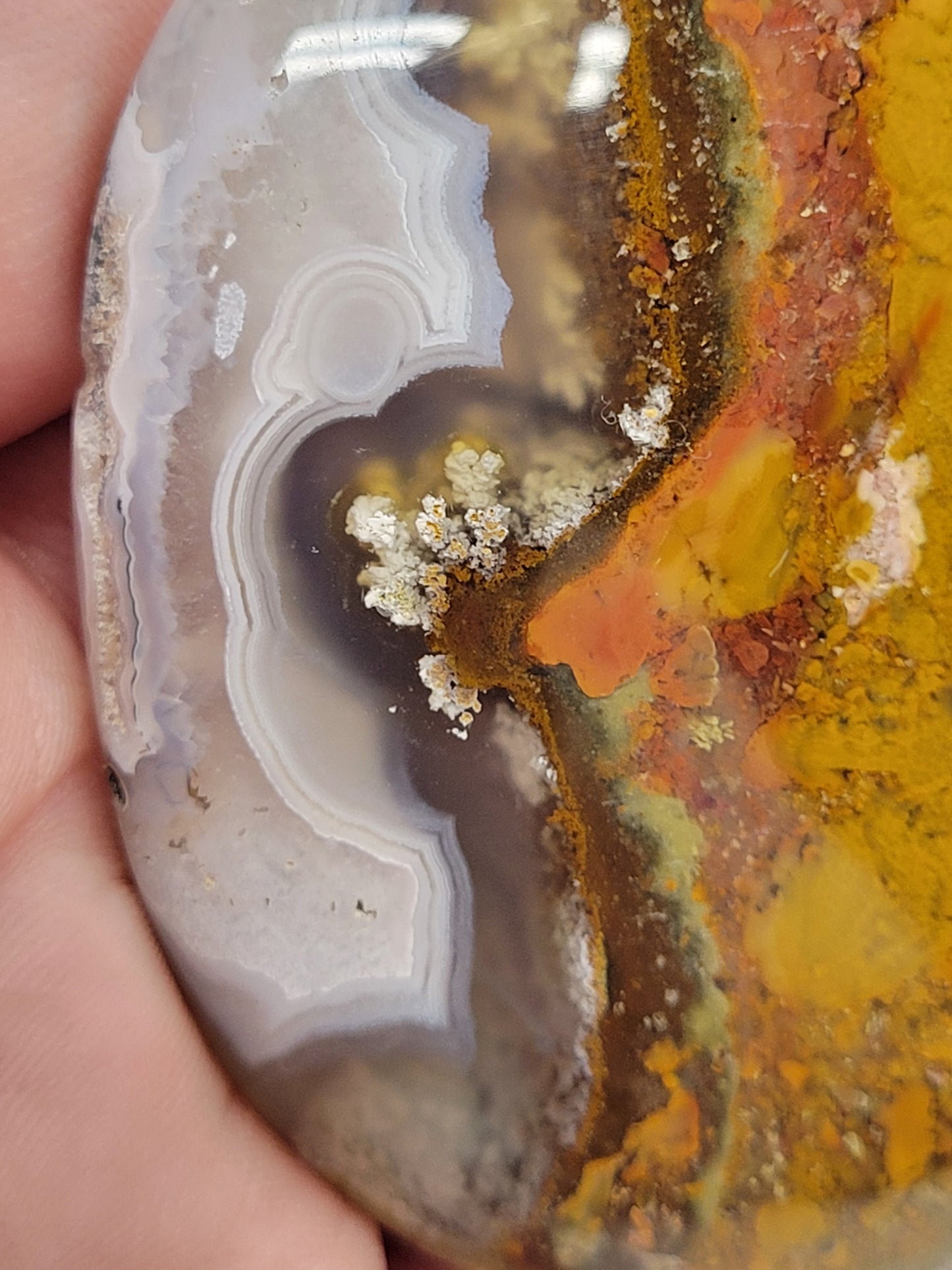 Palm - Scenic Moss Agate