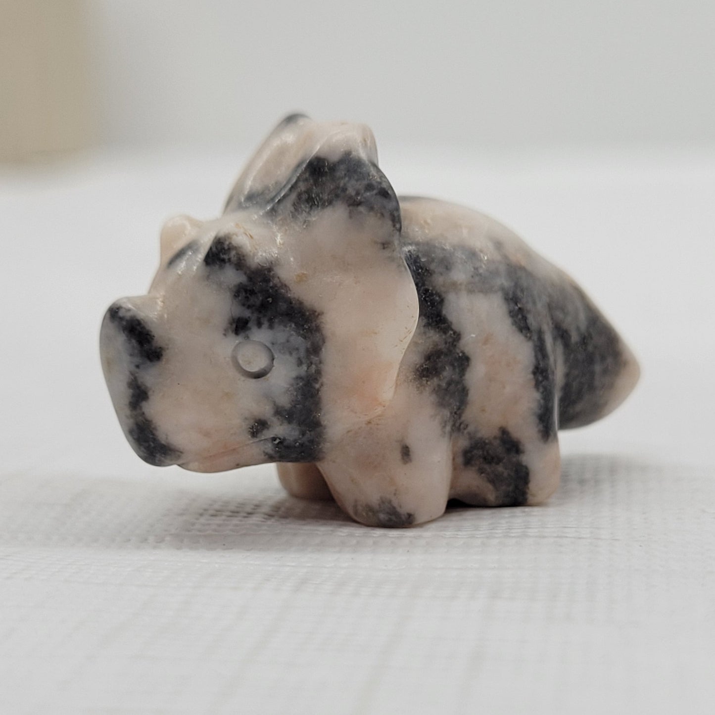 Dinosaur Triceratops (small)