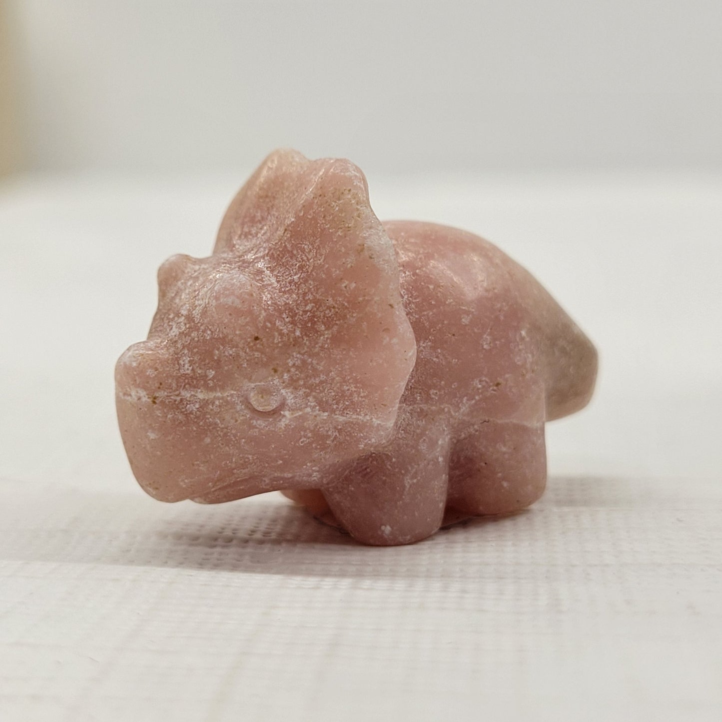 Dinosaur Triceratops (small)