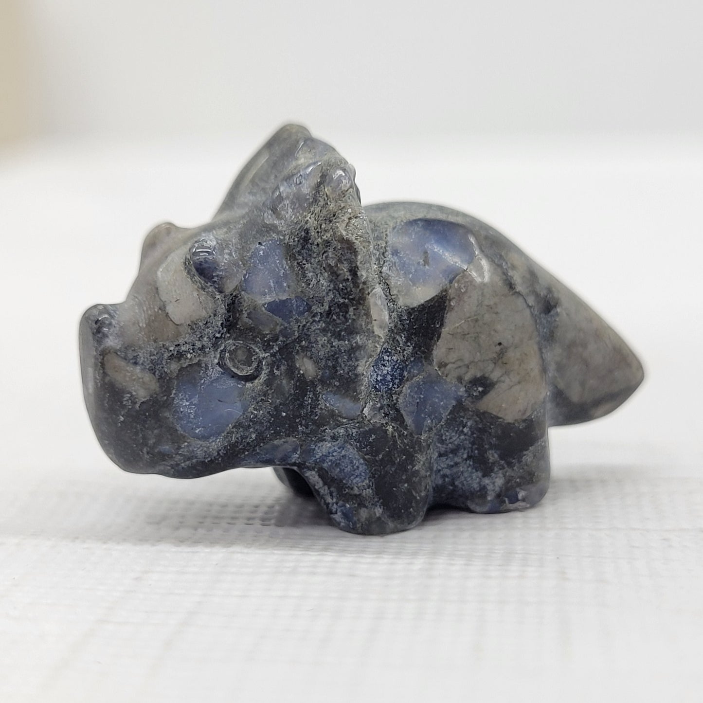 Dinosaur Triceratops (small)