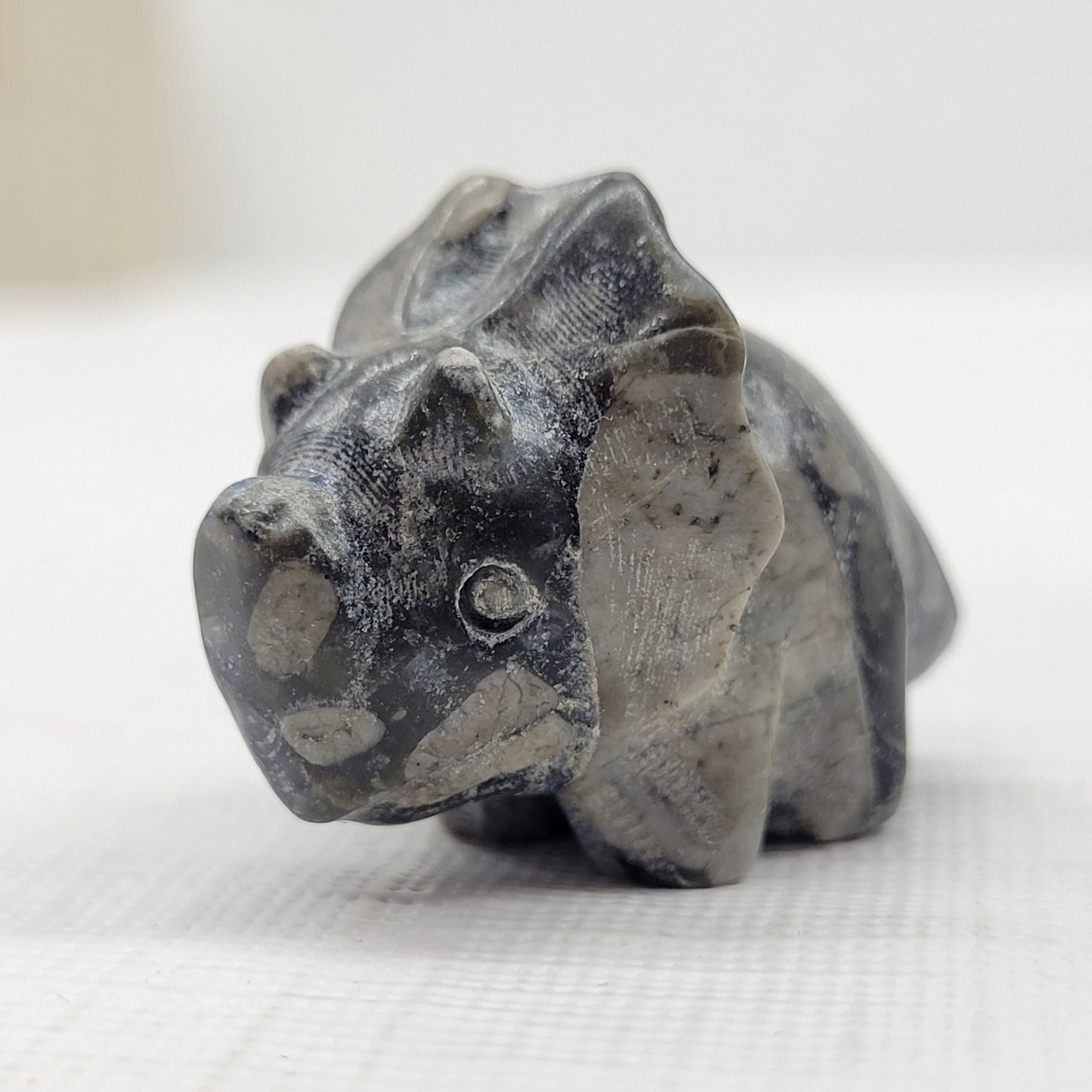 Dinosaur Triceratops (small)