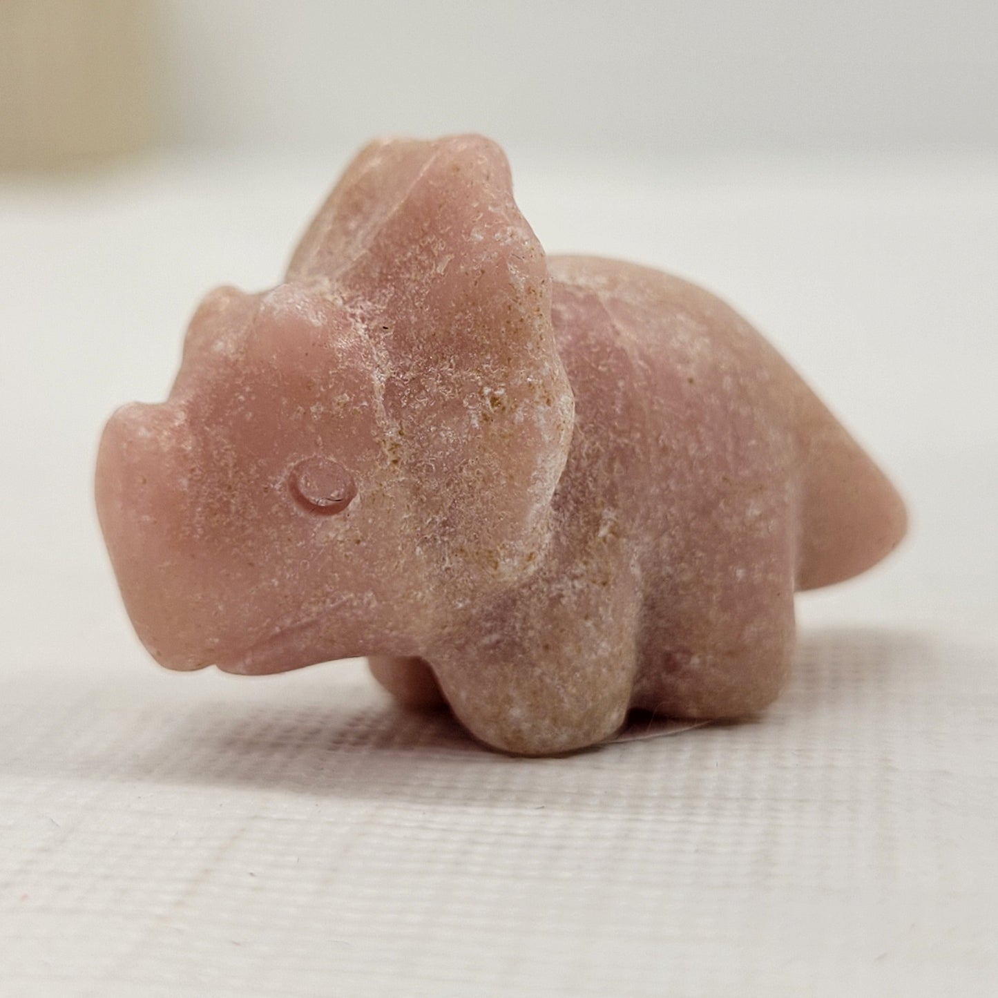 Dinosaur Triceratops (small)
