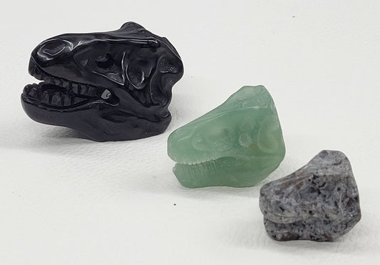 T-Rex skull carvings (S, M, L)