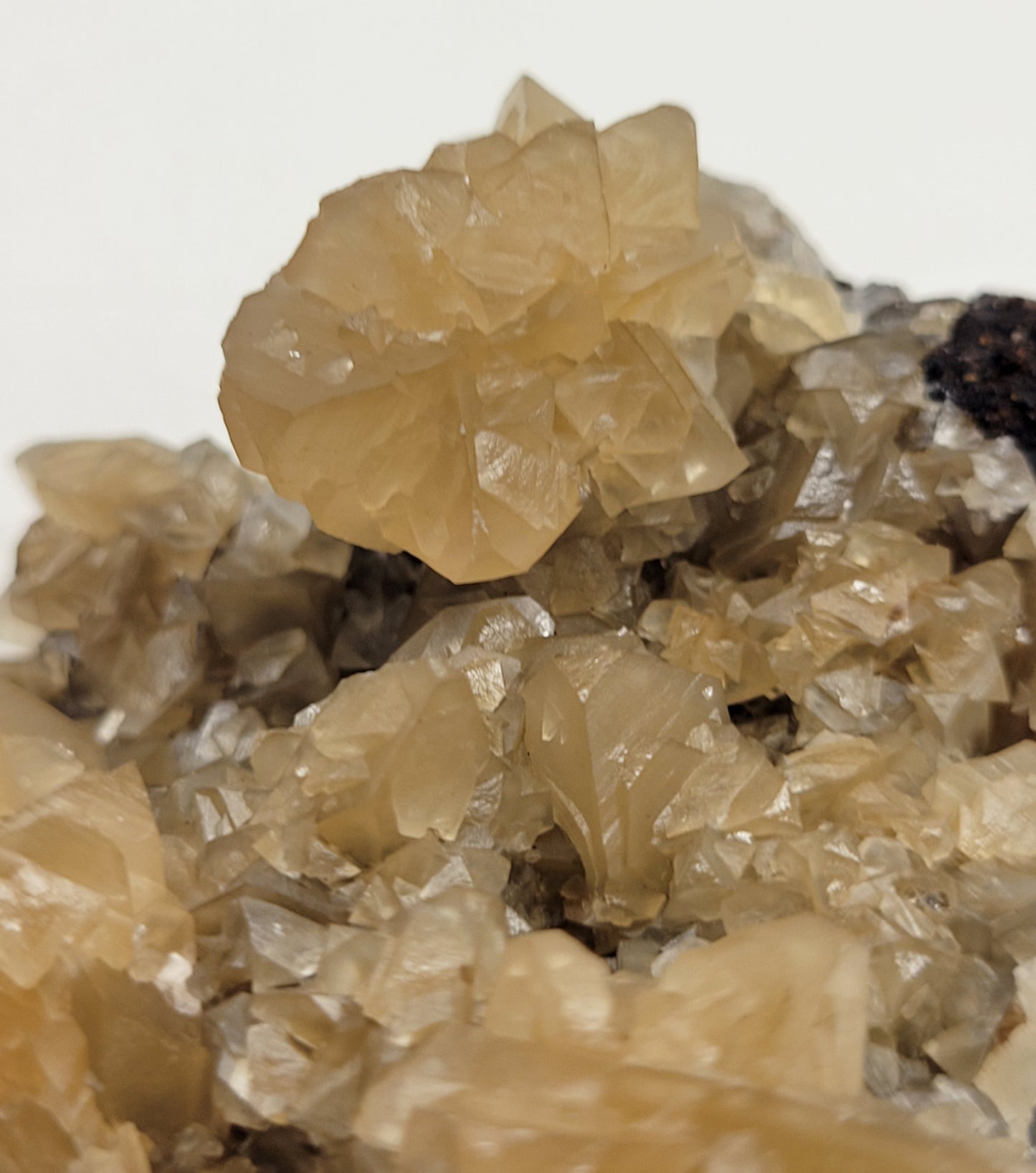 Calcite - Chihuahua, Mexico