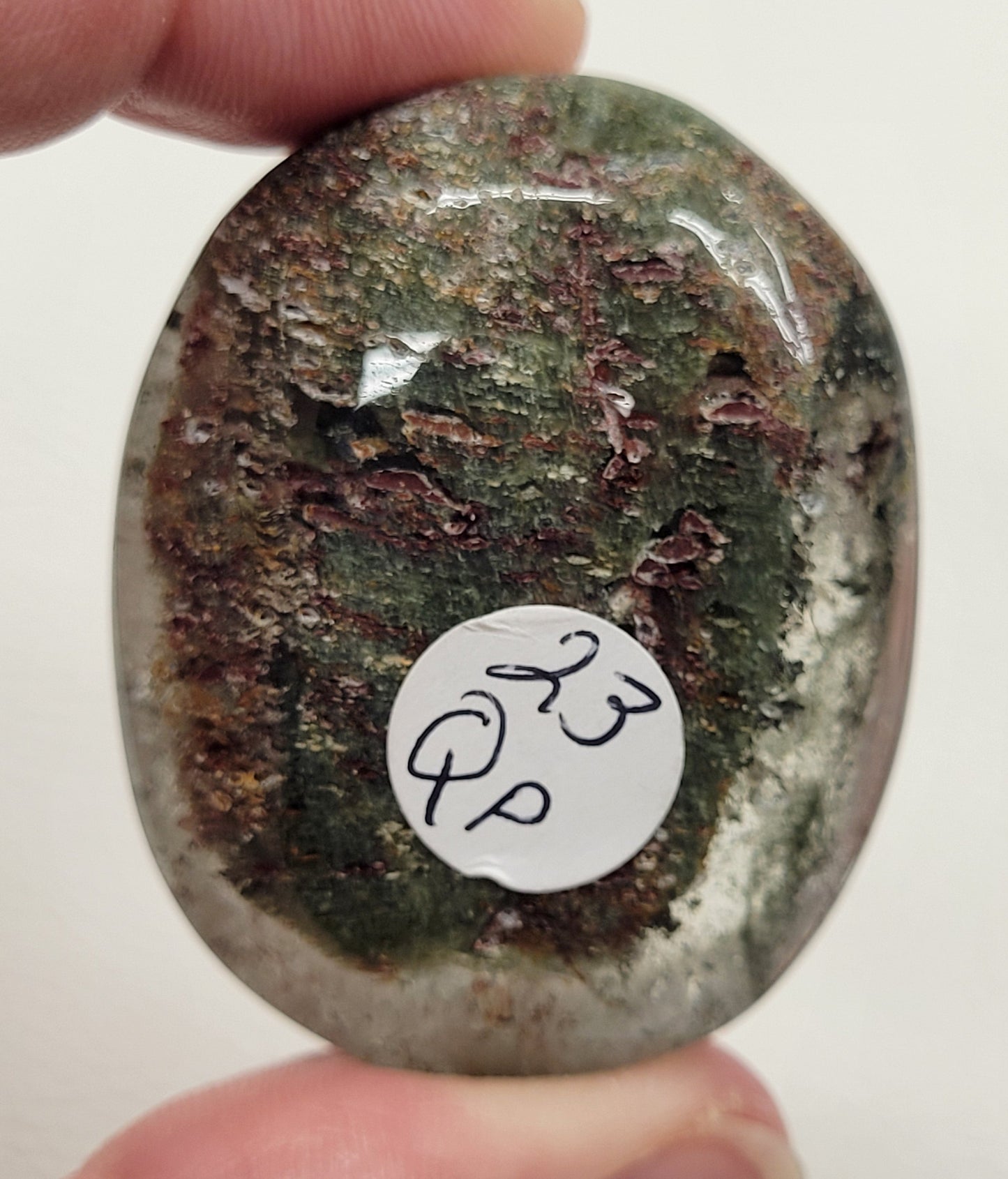 Palm - Garden Quartz