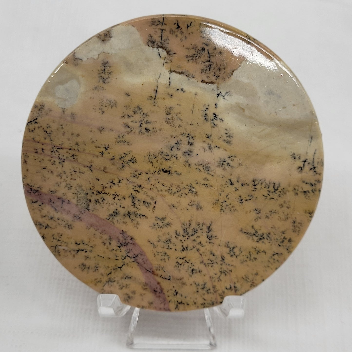Picture Jasper coin