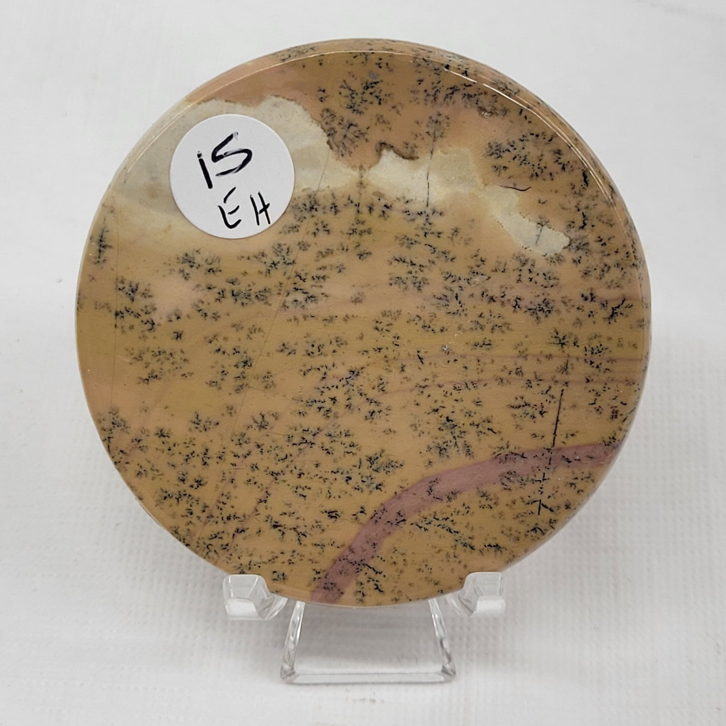 Picture Jasper coin