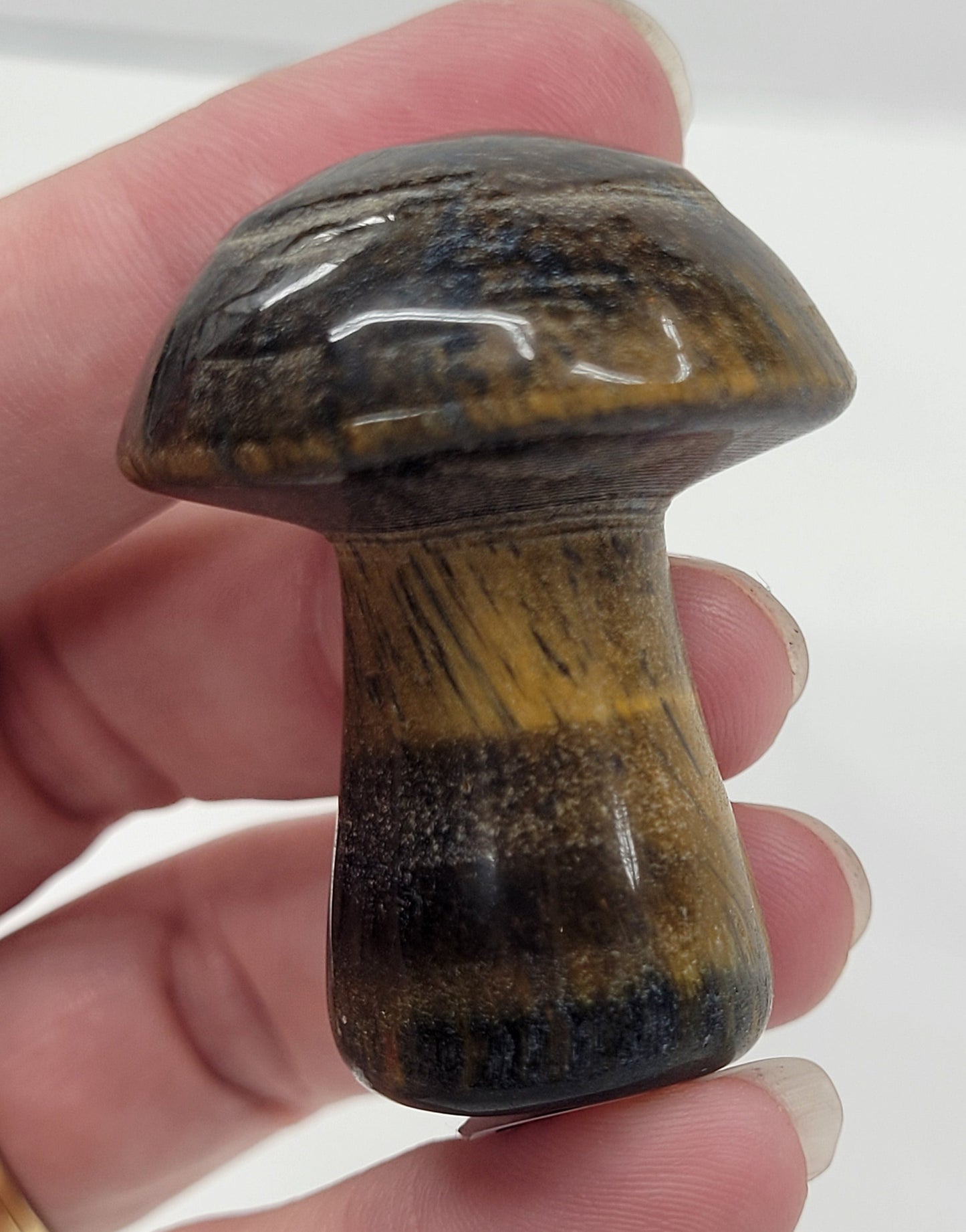 Hand holding a Tigers Eye mushroom carving on a white background