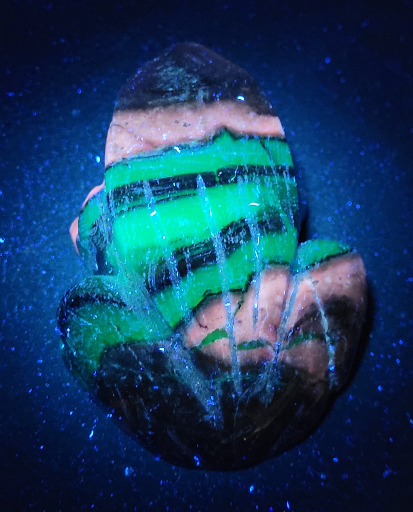 Volcano Agate frog (L)