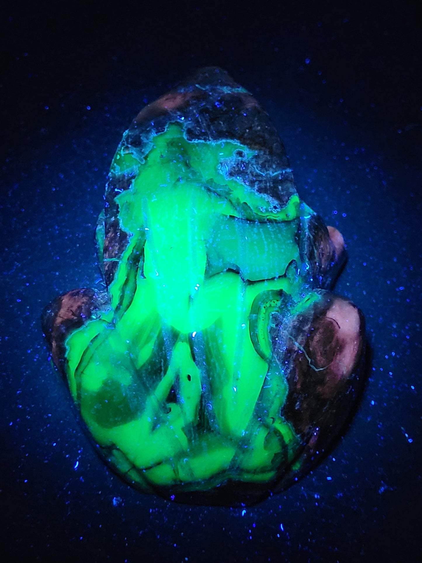 Volcano Agate frog (L)