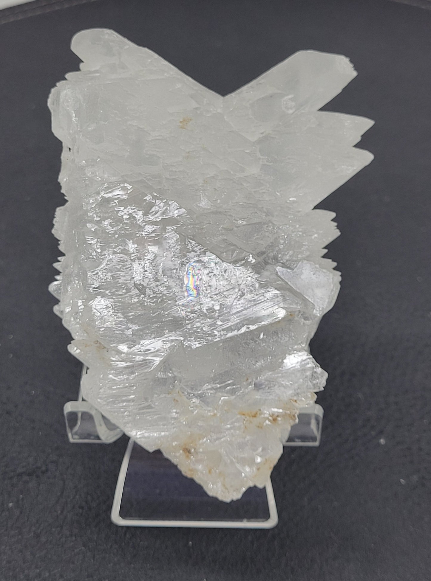 Angel Wing Selenite