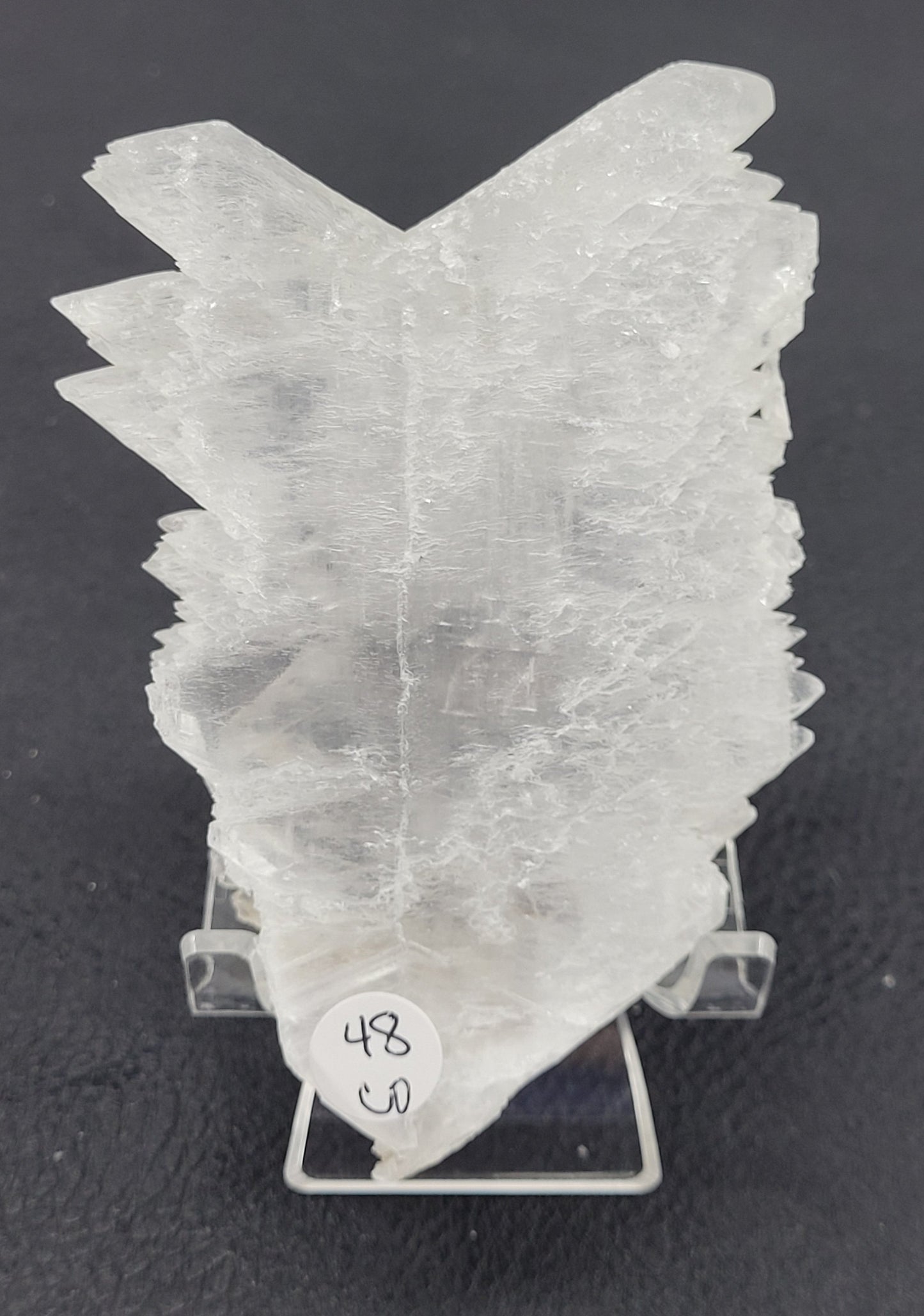 Angel Wing Selenite