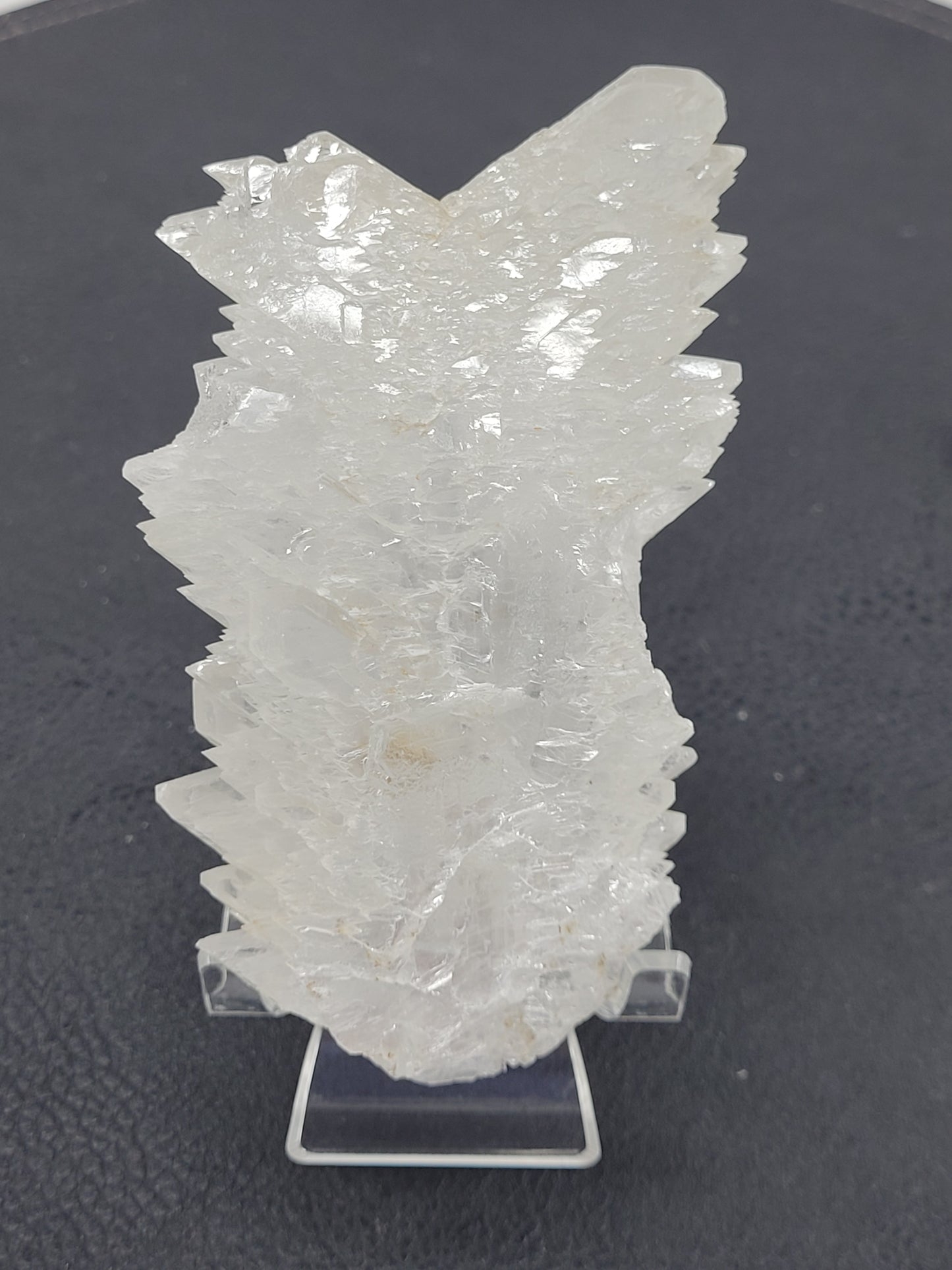 Angel Wing Selenite