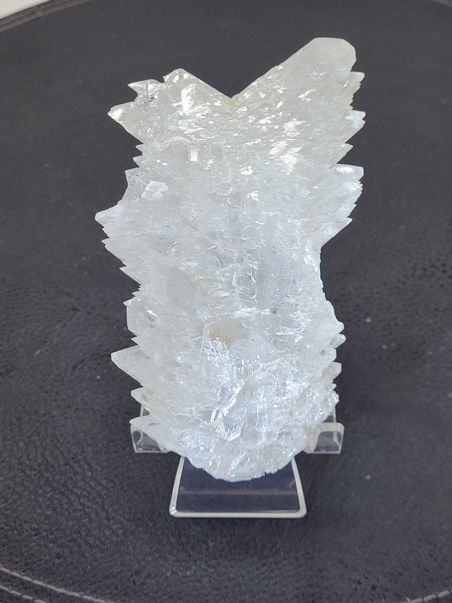 Angel Wing Selenite