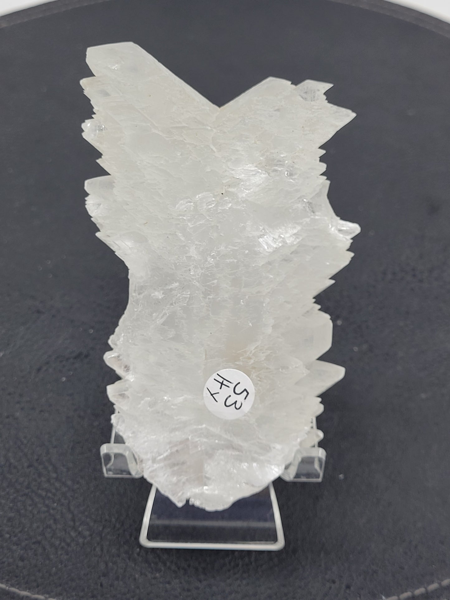 Angel Wing Selenite