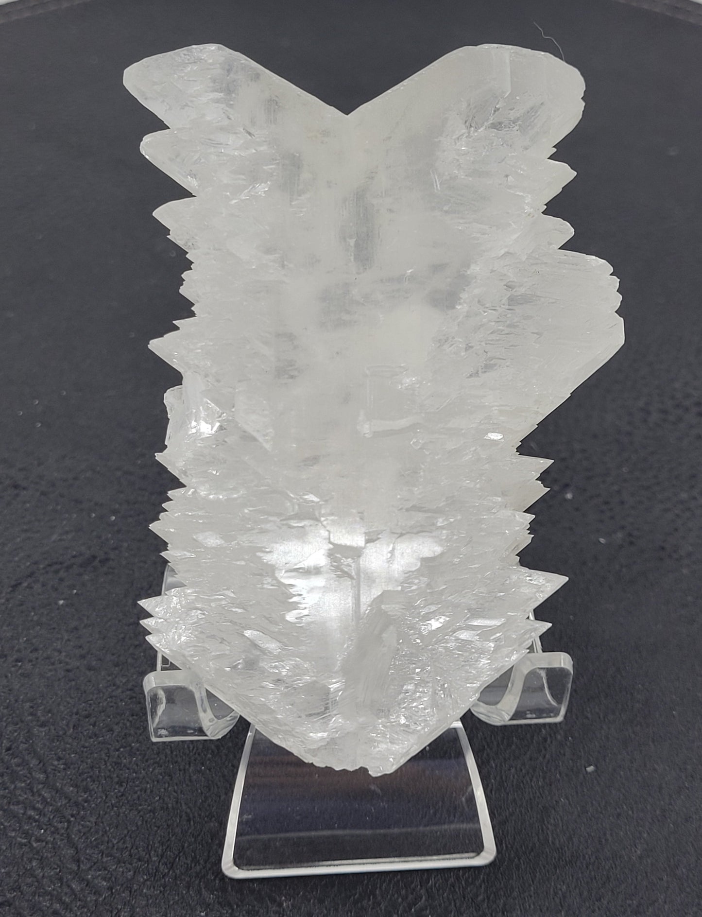 Angel Wing Selenite